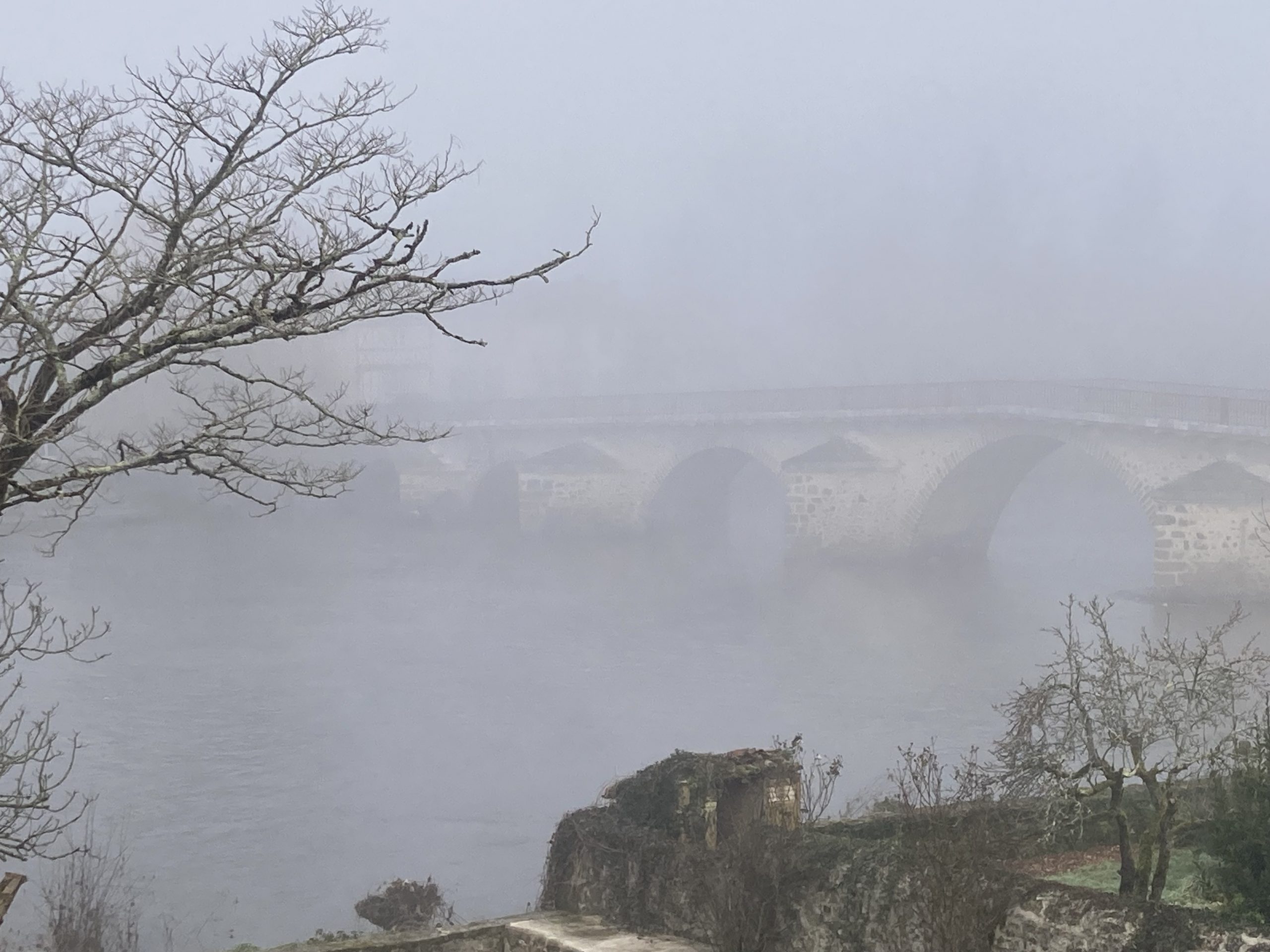 Coming out of the mist