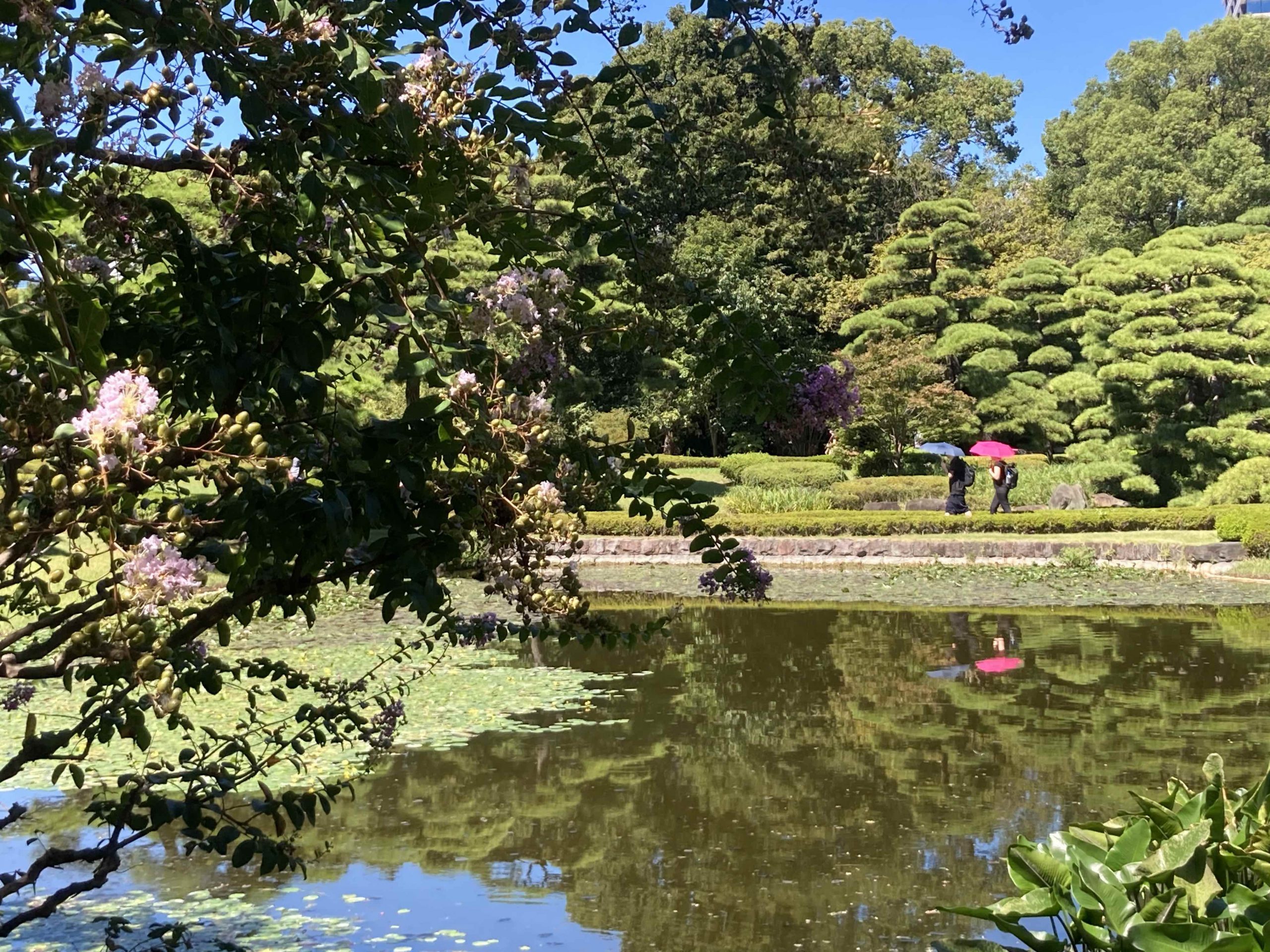 Reflections