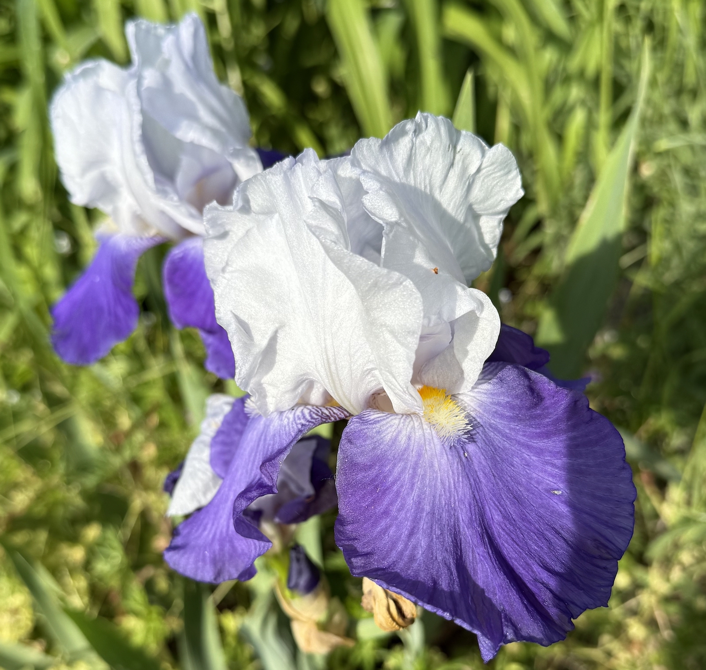 Ready to Thrive in Five?